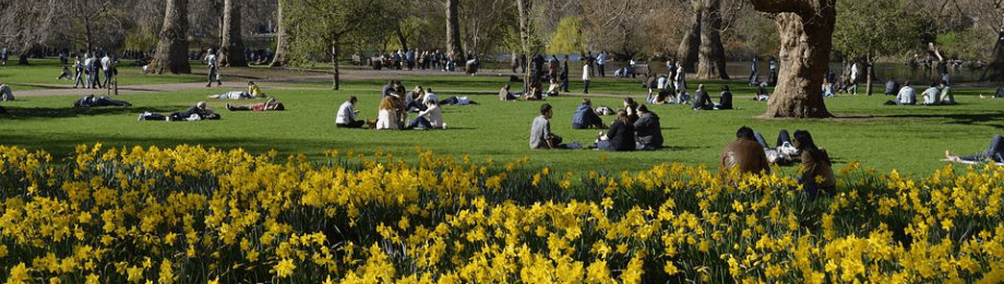 An Afternoon at St. James's Park, London. My entry for the